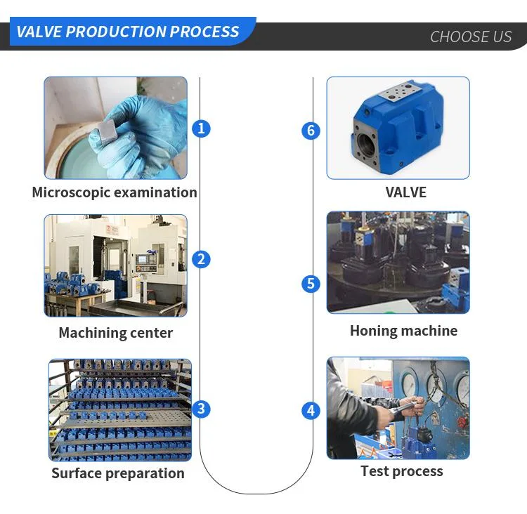 DV/Drv Throttle and Throttle Check Valve From Shida Factory