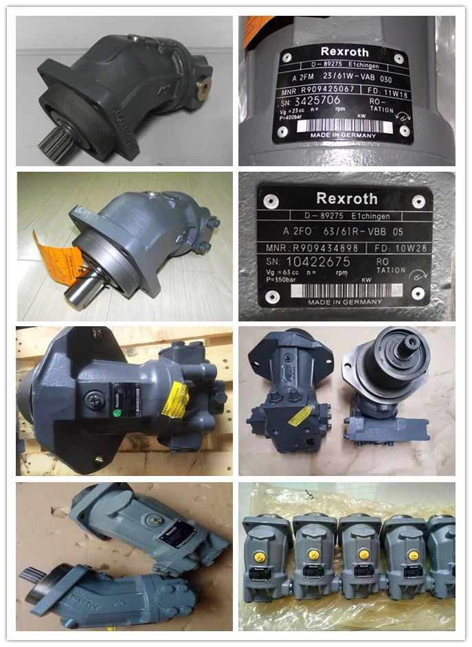 Rexroth Hydraulic Pump/Piston Pump/Pressure Pump/Oil Pump/Vane Pump/ Gear Pump/Excavator Pump for A2fo/A2FM/A4V/A6vm/A7vo/A10vso/A11V/PV7/Pg/A4fo